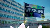 Ogilvy | Cosmote What’s Up | TV,