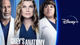 Grey’s Anatomy, Disney+,Christ-must