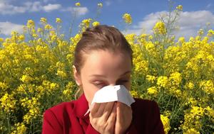 Αλλεργίες, allergies