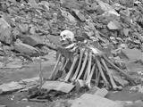 Σκελετοί Ελλήνων, Ιμαλάια,skeletoi ellinon, imalaia