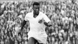 Πελέ,pele