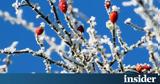 Meteo, Βόρεια Ελλάδα,Meteo, voreia ellada