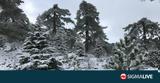 ΒΙΝΤΕΟ, Τρόοδος – Εντυπωσιακές,vinteo, troodos – entyposiakes