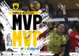 Βόλεϊ, MVP, Νίζετιχ,volei, MVP, nizetich