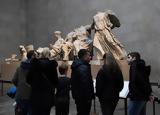 Γλυπτά, Παρθενώνα, Ελλάδα, Βρετανικό Μουσείο – Εκτενές, New York Times,glypta, parthenona, ellada, vretaniko mouseio – ektenes, New York Times