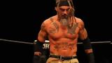 Jay Briscoe, Έχασε,Jay Briscoe, echase