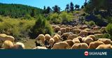 Υπουργικό, Ενέκρινε,ypourgiko, enekrine
