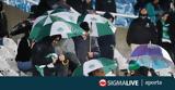 Ομόνοια, Σαλαμίνα,omonoia, salamina