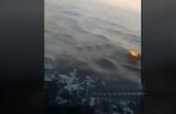 Απίστευτο, Λύκος, Παγασητικό …VIDEO,apistefto, lykos, pagasitiko …VIDEO