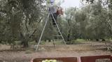 Πρόεδρος, Εργατικού Κέντρου Ηρακλείου, Χατζηδάκη, Κρήτη,proedros, ergatikou kentrou irakleiou, chatzidaki, kriti