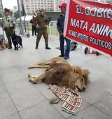 Χιλή, Διαμαρτυρήθηκαν, Προεδρικό Μέγαρο,chili, diamartyrithikan, proedriko megaro