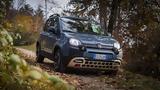 Fiat Panda 4×4, Τέλος,Fiat Panda 4×4, telos