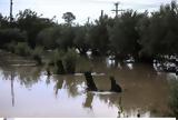 Εφιαλτική, Ζάκυνθο, Αντιδήμαρχος,efialtiki, zakyntho, antidimarchos