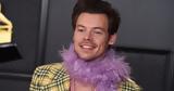 Harry Styles, Σκίστηκε,Harry Styles, skistike