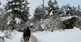 Έκτακτο, ΕΜΥ, Έρχεται, Barbara,ektakto, emy, erchetai, Barbara