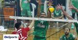 Βόλεϊ Ολυμπιακός - Παναθηναϊκός, Challenge Cup -,volei olybiakos - panathinaikos, Challenge Cup -