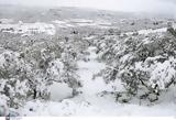 Αλπικό, Λασίθι,alpiko, lasithi