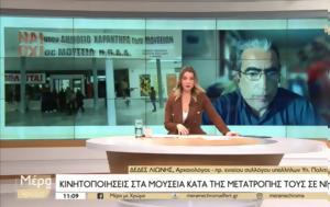 Δέδες Λιώνης, dedes lionis
