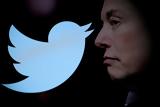 Twitter, Kinks, Έλον Μασκ,Twitter, Kinks, elon mask