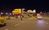 DHL Express,GoGreen Plus