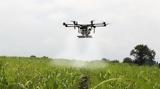 Drones,