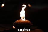 Survivor Τουρκία –, Acun,Survivor tourkia –, Acun