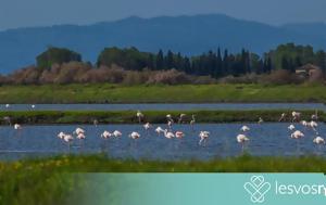 Λέσβου, Πράσινο Πανεπιστήμιο, Μουσικό Γυμνάσιο Μυτιλήνης, lesvou, prasino panepistimio, mousiko gymnasio mytilinis