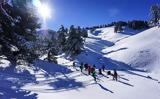 Σκι, Χιονοδρομικού, Παρνασσό, Καθαράς Δευτέρας,ski, chionodromikou, parnasso, katharas defteras