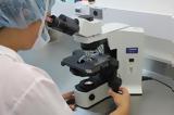 Τραγωδία, Τέμπη, DNA,tragodia, tebi, DNA