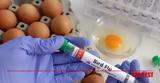 Γρίπη, Κρούσμα H5N1, Κίνα - Φόβοι,gripi, krousma H5N1, kina - fovoi