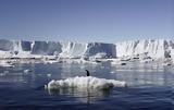 Ανταρκτική, – Καμπανάκι,antarktiki, – kabanaki