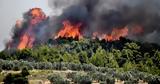 Μεγάλη, Ιεράπετρα, Συναγερμός, Πυροσβεστική,megali, ierapetra, synagermos, pyrosvestiki