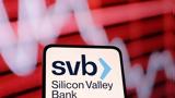 Silicon Valley Bank,Lehman Brothers