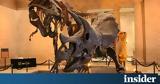Ελβετία, Τυραννόσαυρος Ρεξ,elvetia, tyrannosavros rex