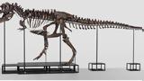 Ελβετία, Τυραννόσαυρος Ρεξ,elvetia, tyrannosavros rex
