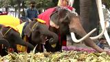Ελέφαντες, Εθνική Ημέρα Ελεφάντων, Ταϊλάνδης,elefantes, ethniki imera elefanton, tailandis