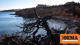 Μάτι, Η Πυροσβεστική, Λιότσιος,mati, i pyrosvestiki, liotsios