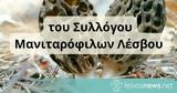 Eπανίδρυση, Συλλόγου Μανιταρόφιλων,Epanidrysi, syllogou manitarofilon