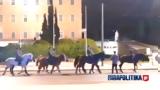 Βγήκε … Ιππικό, Σύνταγμα, Σπάνιες, Βουλή - Πρώτη,vgike … ippiko, syntagma, spanies, vouli - proti