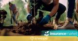 Insurancemarket,