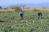 Βουλή, Γεωπονικών Τμημάτων 5ετούς,vouli, geoponikon tmimaton 5etous