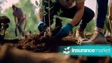 Insurancemarket,