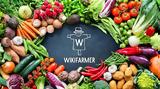 Wikifarmer,