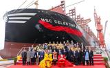 ΜSC, MSC Celestino Maresca,mSC, MSC Celestino Maresca