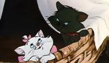 Aristocats,O Questlove