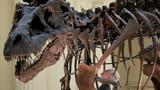 Τυραννόσαυρος,tyrannosavros