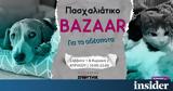 Πάσχα, Παγκόσμια Ημέρα Αδέσποτων Ζώων Ευκαιρία,pascha, pagkosmia imera adespoton zoon efkairia