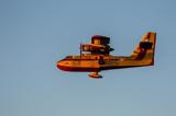 Φθιώτιδα, Φωτιά, Σαββάτου, Canadair,fthiotida, fotia, savvatou, Canadair