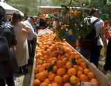 Κρήτη | Πάνω, 4 000, 8η Γιορτή Πορτοκαλιού, Φόδελε | Photos,kriti | pano, 4 000, 8i giorti portokaliou, fodele | Photos