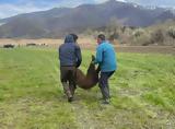 Φλώρινα, Πρέσπες,florina, prespes